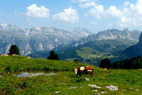 Dolomites & Bolzano, Trento, Bassano del Grappa, & Asolo