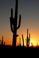 Southern Arizona - Tucson & Sedona