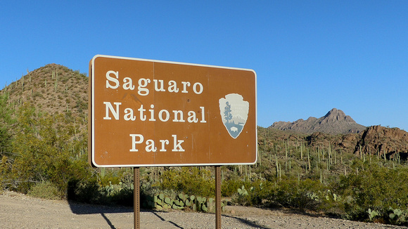 Tucson Saguaro National Park