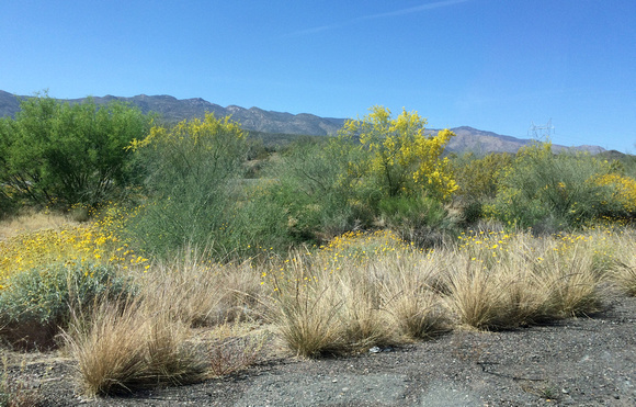 Highway between Tucson and Sedona