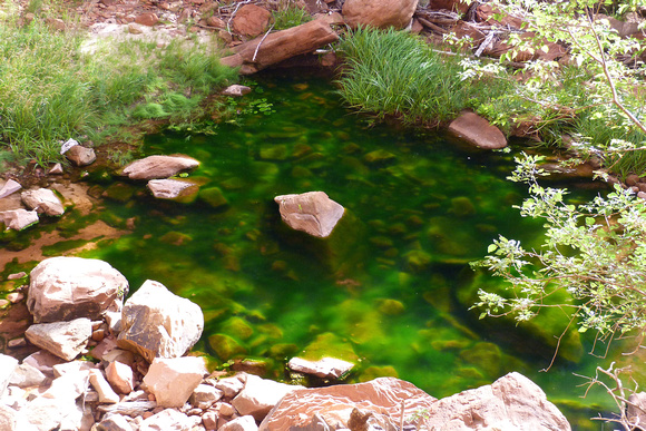 Zion Emerald Pools