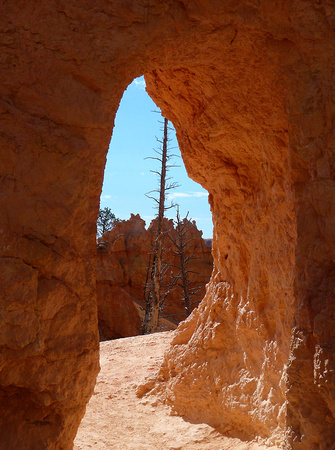Bryce Canyon Navajo Queens Hike