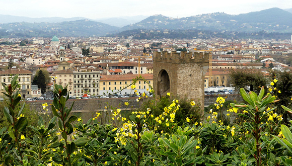 From Piazza Michelangelo