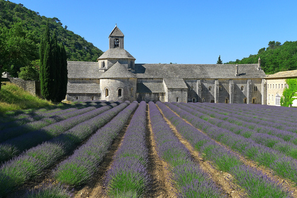 Luberon Abbaye de Senanque
